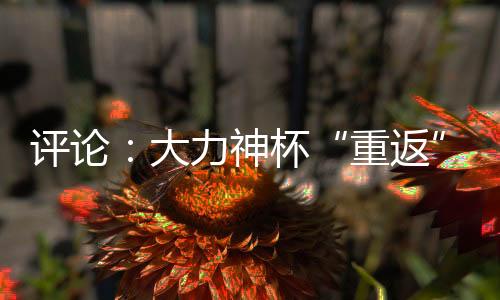 評論：大力神杯“重返”中國，中國男足何時重返世界杯？