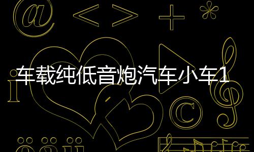 車(chē)載純低音炮汽車(chē)小車(chē)12V大貨車(chē)24V超重低音有源藍(lán)牙功放音響改裝