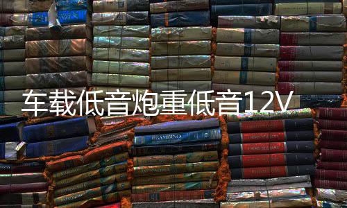 車載低音炮重低音12V小車改裝汽車音響藍(lán)牙貨車24V大功率家用音箱