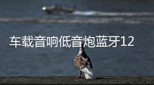 車(chē)載音響低音炮藍(lán)牙12V24V汽車(chē)改裝有源專(zhuān)用音箱梯形音響超重低音