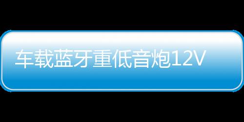 車載藍牙重低音炮12V汽車摩托貨車24v專用音改裝無線音箱小鋼炮
