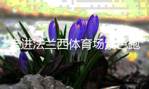 走進法蘭西體育場紫色跑道，千分秒之差何以呈現(xiàn)？