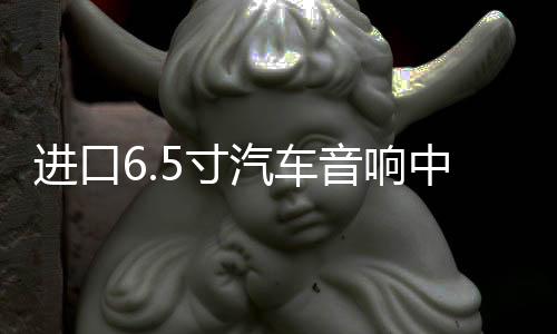 進(jìn)口6.5寸汽車音響中重低音發(fā)燒車載喇叭改裝適用于邁騰別克等車