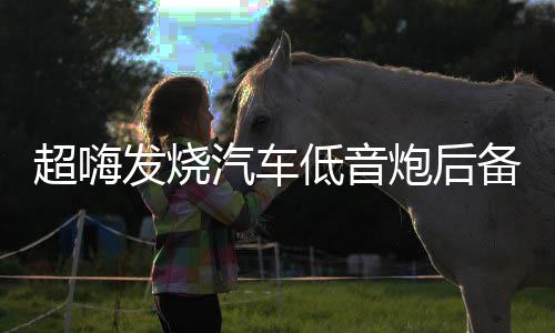 超嗨發(fā)燒汽車(chē)低音炮后備箱音響 12寸有源震撼重低音車(chē)載12v大功率