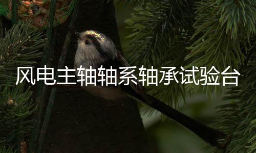 風電主軸軸系軸承試驗臺架