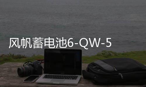 風帆蓄電池6-QW-54(產(chǎn)品升級為T6)適用桑塔納志俊12V汽車電瓶