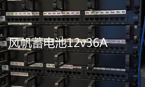風(fēng)帆蓄電池12v36AH本田飛度鋒范思迪奧拓北斗星鈴木雨燕汽車電瓶