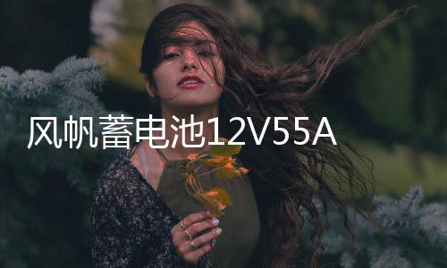 風(fēng)帆蓄電池12V55AH福特55-27嘉年華翼博馬自達(dá)2/3長(zhǎng)城C30汽車(chē)電瓶