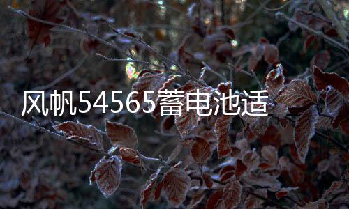 風(fēng)帆54565蓄電池適配騰翼C20/C30/寶駿310W/510/360/原裝汽車(chē)電瓶