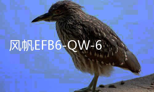 風(fēng)帆EFB6-QW-60啟停專用汽車電瓶適配繽智長安逸動(dòng)CS75哈弗H6上門