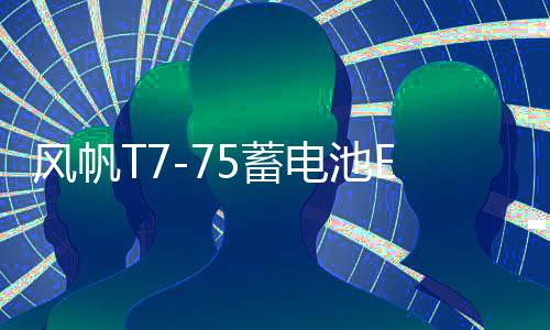 風(fēng)帆T7-75蓄電池EFB適用?？怂姑傻蠚W銳界翼虎啟停汽車(chē)專(zhuān)用電瓶