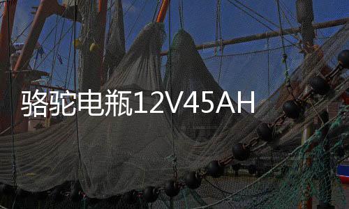 駱駝電瓶12V45AH適配長(zhǎng)安面包車五菱宏光S/榮光V/軒逸汽車蓄電池