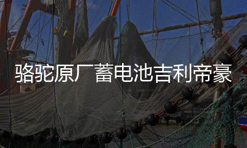 駱駝原廠蓄電池吉利帝豪ec718遠(yuǎn)景/現(xiàn)代朗動(dòng)悅動(dòng)原裝60ah汽車電瓶