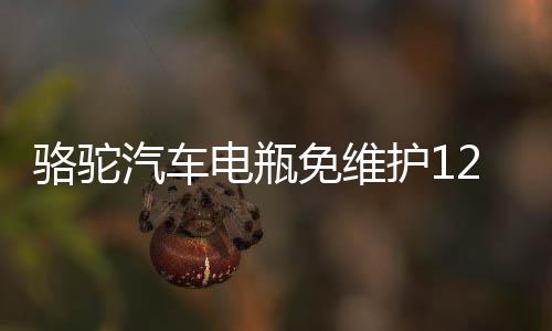 駱駝汽車(chē)電瓶免維護(hù)12V45AH 46B24R適配五菱宏光吉利金剛夏利森雅