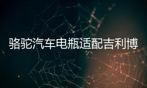 駱駝汽車電瓶適配吉利博越福特福睿斯?？怂筎6(60AH)蓄電池
