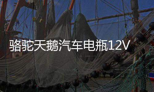 駱駝天鵝汽車電瓶12V60AH55D26R豐田皇冠銳志馬自達6哈弗H2H3H5H6