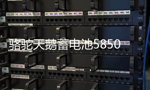 駱駝天鵝蓄電池58500五菱榮光之光面包車北汽汽車電瓶12V48AH電池