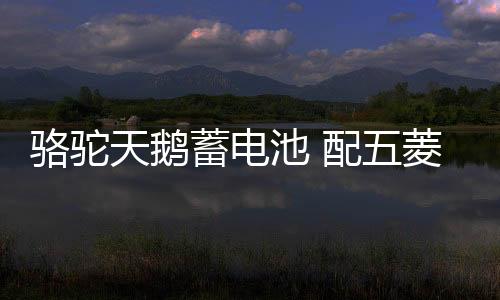 駱駝天鵝蓄電池 配五菱榮光之光寶駿310北汽車(chē)幻速S3汽車(chē)電瓶 48A