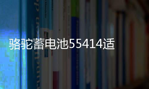 駱駝蓄電池55414適用桑塔納2000/3000老捷達紅旗汽車電瓶54AH