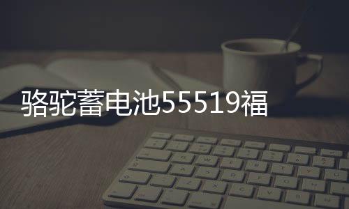 駱駝蓄電池55519福特福克斯嘉年華馬自達3/2賽歐汽車電瓶12V55ah