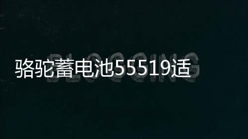 駱駝蓄電池55519適配?？怂箓黛髻悮W名爵汽車電瓶55ah 以舊換新