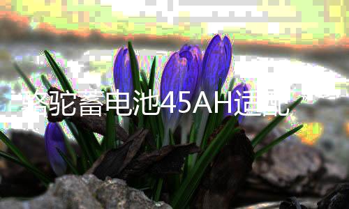 駱駝蓄電池45AH適配五菱宏光吉利QQ金剛熊貓長(zhǎng)城M4M2原裝汽車(chē)電瓶