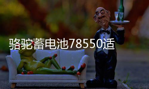 駱駝蓄電池78550適配別克GL8賽威凱迪拉克60ah汽車電瓶 以舊換新