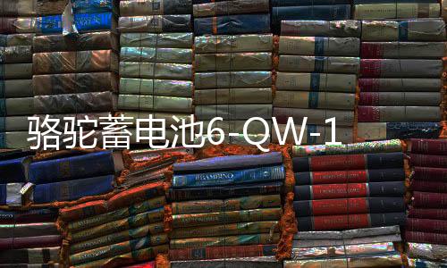 駱駝蓄電池6-QW-120適配拖拉機農(nóng)用車挖掘機汽車電瓶 以舊換新