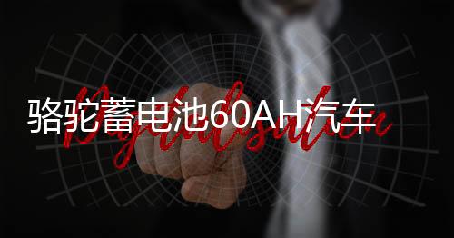 駱駝蓄電池60AH汽車電瓶L2400適配斯柯達明銳昊銳昕銳科魯茲速派