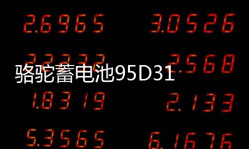 駱駝蓄電池95D31 蓄電池雙龍長城皮卡照明汽車電瓶12V85AH