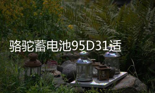 駱駝蓄電池95D31適用于瑞風(fēng)普拉多帕杰羅85AH汽車電瓶 以舊換新