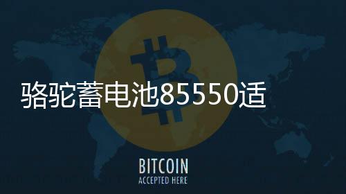 駱駝蓄電池85550適配凱越雪佛蘭吉普指南者汽車電瓶55AH 以舊換新