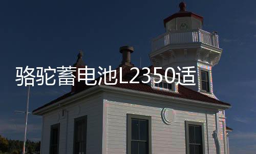 駱駝蓄電池L2350適用于東風(fēng)長(zhǎng)安悅翔睿騁逸動(dòng)汽車(chē)電瓶 以舊換新
