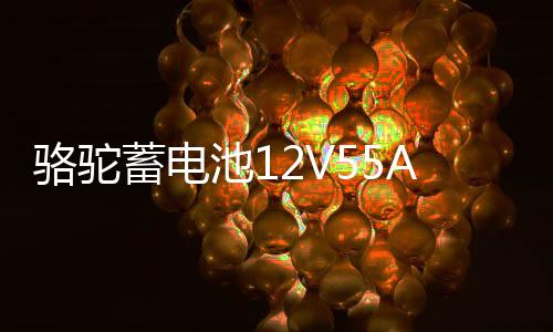 駱駝蓄電池12V55AH適配寶駿630 730別克凱越86610/86550T汽車電瓶