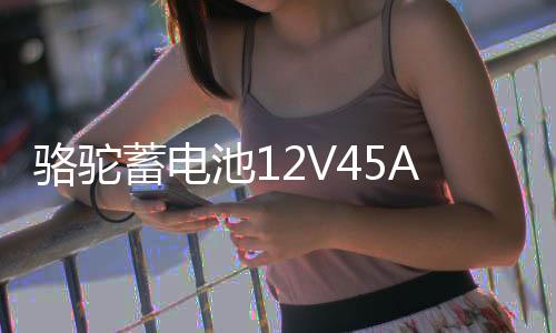 駱駝蓄電池12V45AH適配五菱宏光S面包車雨燕軒逸逍客原裝汽車電瓶