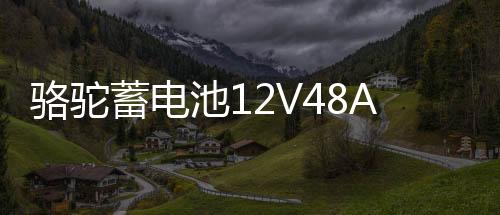 駱駝蓄電池12V48AH適配五菱榮光之光北汽58500低溫強勁汽車電瓶