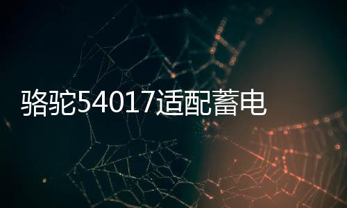 駱駝54017適配蓄電池BYD比亞迪F0原裝寶駿310W景逸X640AH汽車電瓶