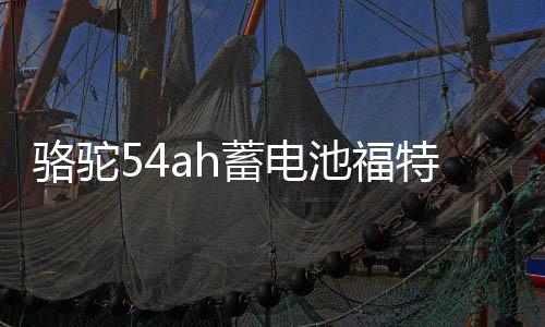 駱駝54ah蓄電池福特經(jīng)典全順?？怂垢ｎＫ辜碌酆啦┰皆b電瓶