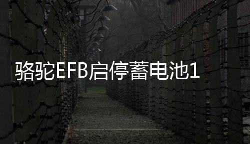 駱駝EFB啟停蓄電池12V70AH奧迪Q3A3高爾夫7領(lǐng)動(dòng)英朗途觀L汽車電瓶