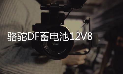駱駝DF蓄電池12V80AH皮卡越野農(nóng)用貨車船掛機(jī)叉車1D汽車電瓶95D31