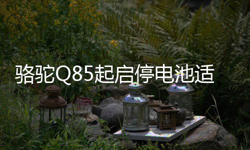 駱駝Q85起啟停電池適配雷凌馬自達(dá)CX4/5昂克賽拉本田CRV汽車電瓶