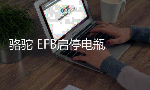 駱駝 EFB啟停電瓶 12V60AH汽車適配繽智CRV傳祺GS4樂風(fēng)RV奧迪A3
