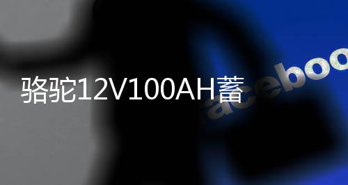 駱駝12V100AH蓄電池貨車(chē)三輪拖拉機(jī)柴油車(chē)發(fā)電機(jī)低溫強(qiáng)勁汽車(chē)電瓶