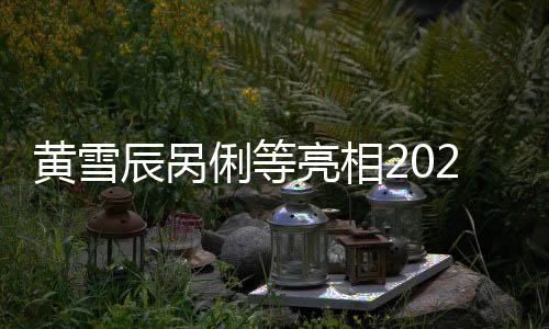 黃雪辰咼俐等亮相2024年中國國家隊公益服務大行動首站