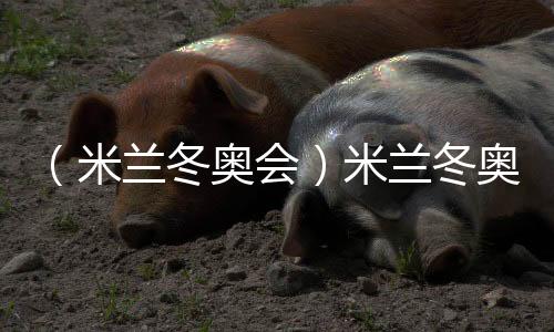 （米蘭冬奧會(huì)）米蘭冬奧會(huì)在歷史古跡維羅納競(jìng)技場(chǎng)閉幕