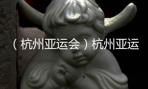 (杭州亞運(yùn)會)杭州亞運(yùn)會迎來代表團(tuán)單日入境最高峰