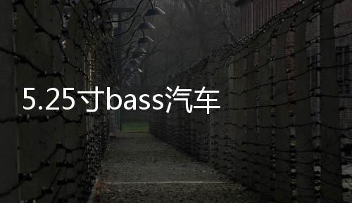5.25寸bass汽車同軸喇叭BA-137D車載音響通用改裝發(fā)燒HIFI揚聲器