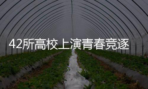 42所高校上演青春競逐 2025CURA全國接力總決賽首次在滬舉行