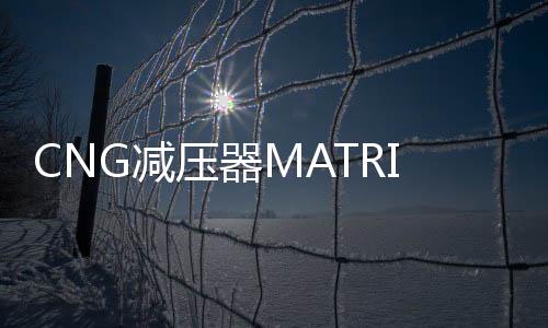 CNG減壓器MATRIX意大利原裝進(jìn)口cng汽車天然氣配件油改氣減壓閥