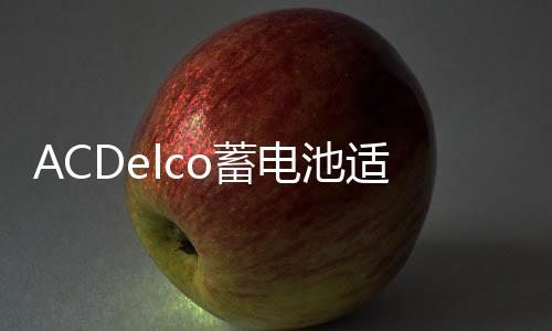 ACDelco蓄電池適配進口福特銳界探險者猛禽F150原裝電瓶汽車電瓶